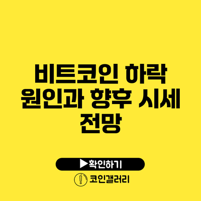 비트코인 하락 원인과 향후 시세 전망