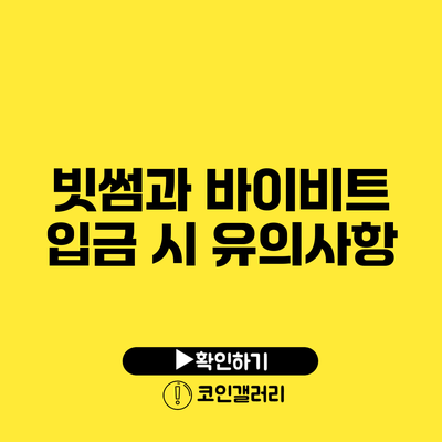 빗썸과 바이비트 입금 시 유의사항