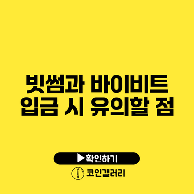 빗썸과 바이비트 입금 시 유의할 점