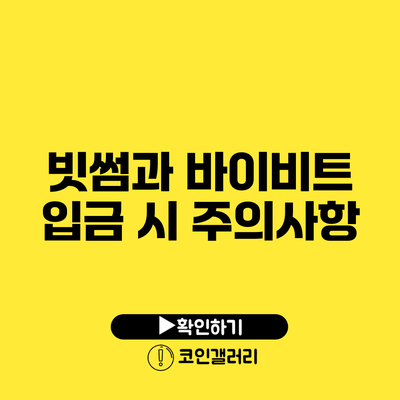 빗썸과 바이비트 입금 시 주의사항