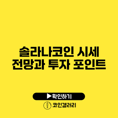 솔라나코인 시세 전망과 투자 포인트