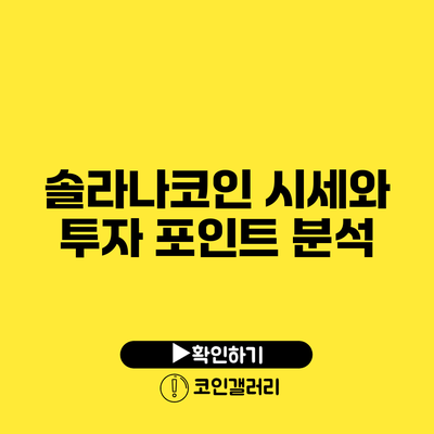 솔라나코인 시세와 투자 포인트 분석