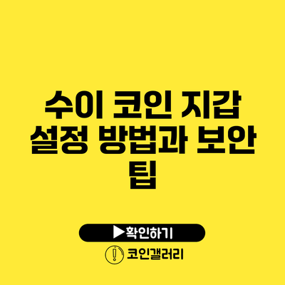 수이 코인 지갑 설정 방법과 보안 팁