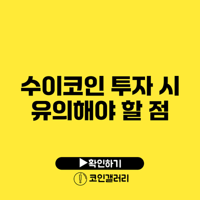 수이코인 투자 시 유의해야 할 점