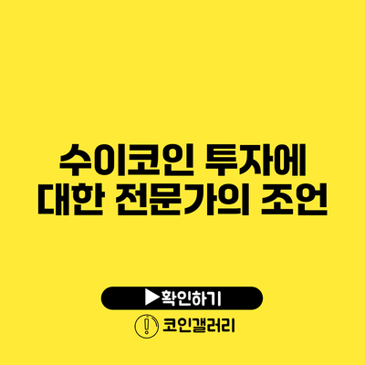 수이코인 투자에 대한 전문가의 조언
