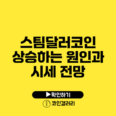 스팀달러코인 상승하는 원인과 시세 전망