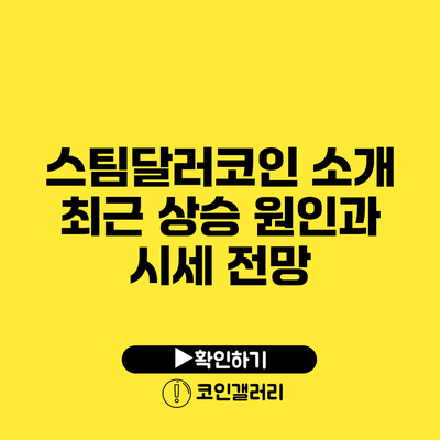 스팀달러코인 소개: 최근 상승 원인과 시세 전망