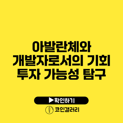 아발란체와 개발자로서의 기회: 투자 가능성 탐구