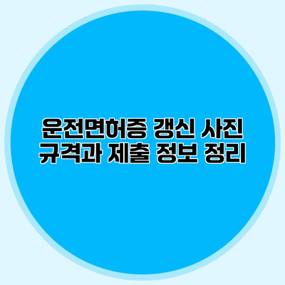 운전면허증 갱신 사진 규격과 제출 정보 정리