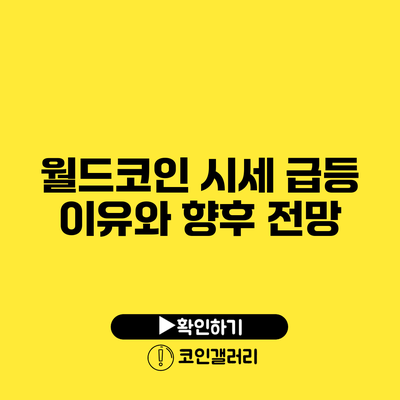 월드코인 시세 급등 이유와 향후 전망