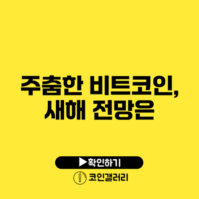 주춤한 비트코인, 새해 전망은?
