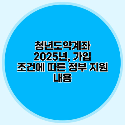 청년도약계좌 2025년, 가입 조건에 따른 정부 지원 내용