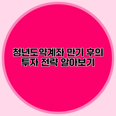 청년도약계좌 만기 후의 투자 전략 알아보기