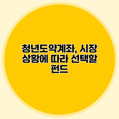 청년도약계좌, 시장 상황에 따라 선택할 펀드