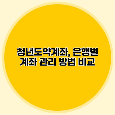 청년도약계좌, 은행별 계좌 관리 방법 비교