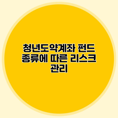 청년도약계좌 펀드 종류에 따른 리스크 관리