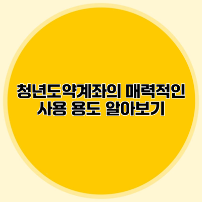 청년도약계좌의 매력적인 사용 용도 알아보기