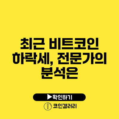 최근 비트코인 하락세, 전문가의 분석은?