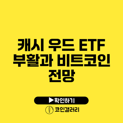 캐시 우드 ETF 부활과 비트코인 전망
