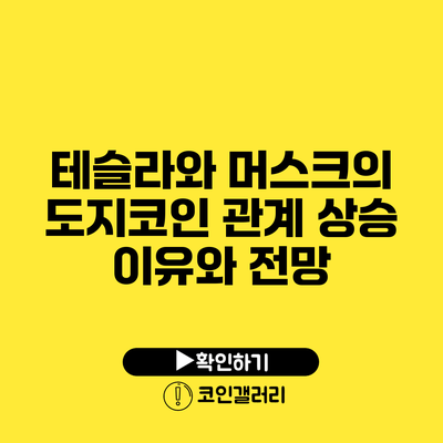테슬라와 머스크의 도지코인 관계: 상승 이유와 전망