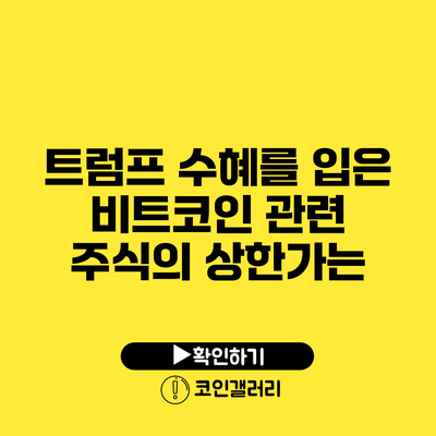 트럼프 수혜를 입은 비트코인 관련 주식의 상한가는?