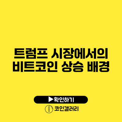 트럼프 시장에서의 비트코인 상승 배경