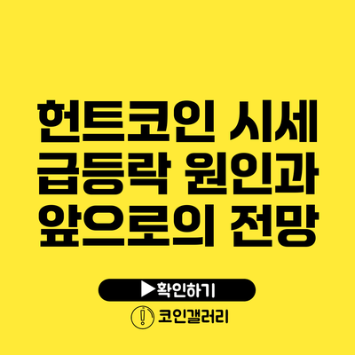 헌트코인 시세 급등락 원인과 앞으로의 전망