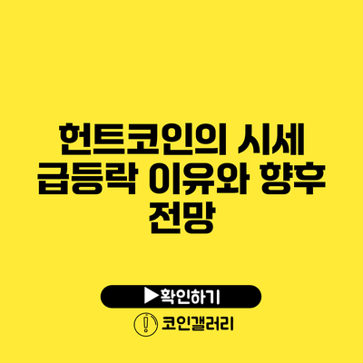 헌트코인의 시세 급등락 이유와 향후 전망