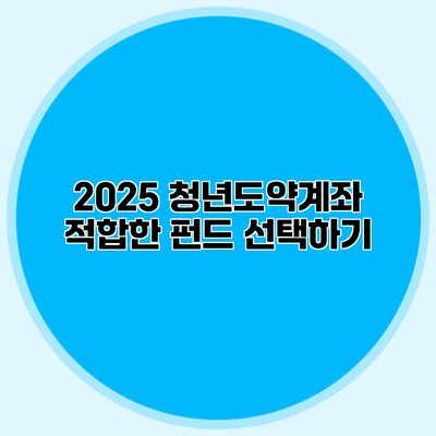 2025 청년도약계좌 적합한 펀드 선택하기