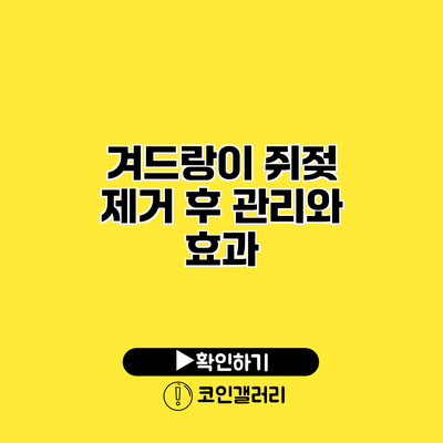 겨드랑이 쥐젖 제거 후 관리와 효과