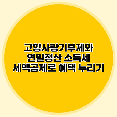 고향사랑기부제와 연말정산 소득세 세액공제로 혜택 누리기