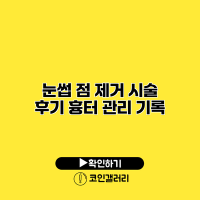 눈썹 점 제거 시술 후기 흉터 관리 기록