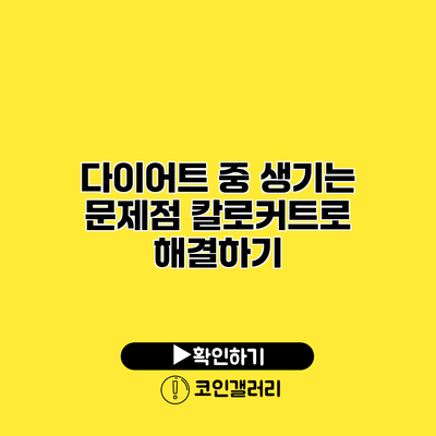 다이어트 중 생기는 문제점 칼로커트로 해결하기