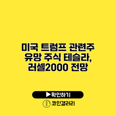 미국 트럼프 관련주 유망 주식 테슬라, 러셀2000 전망