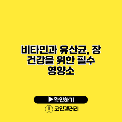 비타민과 유산균, 장 건강을 위한 필수 영양소