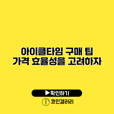 아이클타임 구매 팁 가격 효율성을 고려하자