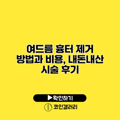여드름 흉터 제거 방법과 비용, 내돈내산 시술 후기