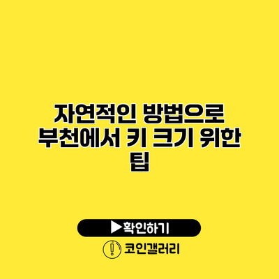 자연적인 방법으로 부천에서 키 크기 위한 팁