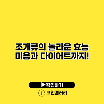 조개류의 놀라운 효능 미용과 다이어트까지!