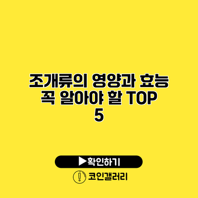 조개류의 영양과 효능 꼭 알아야 할 TOP 5