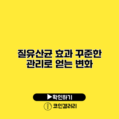 질유산균 효과 꾸준한 관리로 얻는 변화