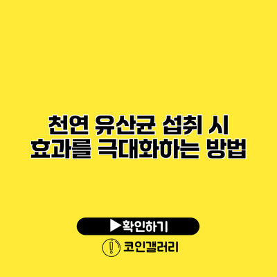 천연 유산균 섭취 시 효과를 극대화하는 방법