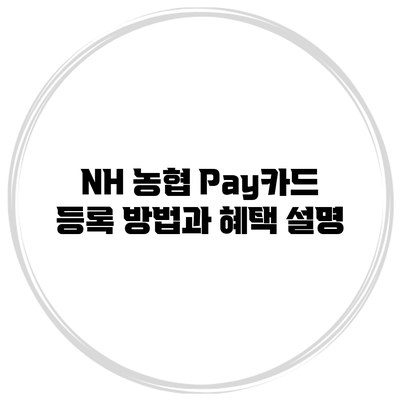 NH 농협 Pay카드 등록 방법과 혜택 설명