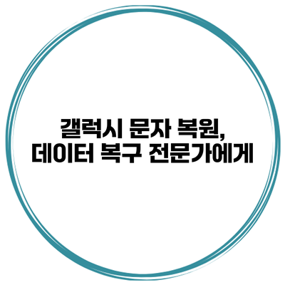 갤럭시 문자 복원, 데이터 복구 전문가에게